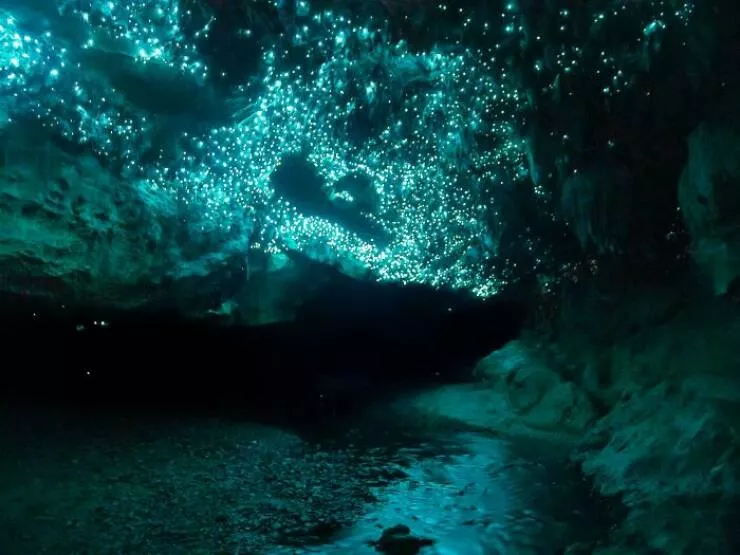 These 75 stunning photos are totally real no edits - #16 Glow Worms Illuminate Cave In New Zealand Naturally