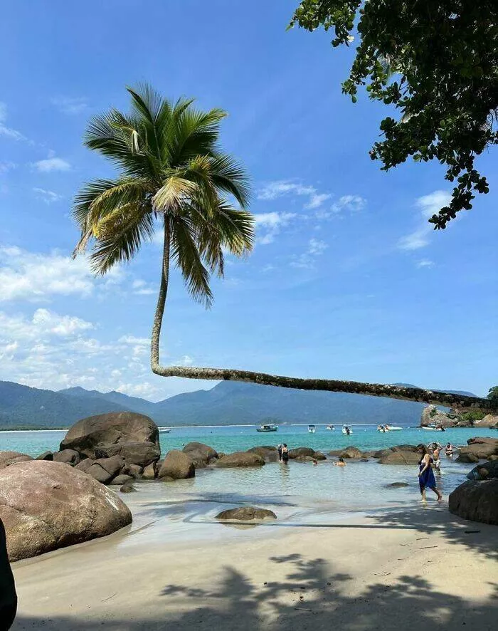 Vous nallez pas croire que ces 75 photos sont 100 reelles - #27 Photo de voyage prise lors de mes vacances au Brésil