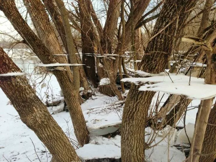 These 75 stunning photos are totally real no edits - #29 Frozen Landscape Creates Ice Ripple Effect Post-Flood