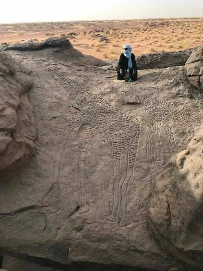 These 75 stunning photos are totally real no edits - #5 10,000-Year-Old Giraffe Rock Art Found In Sahara Desert