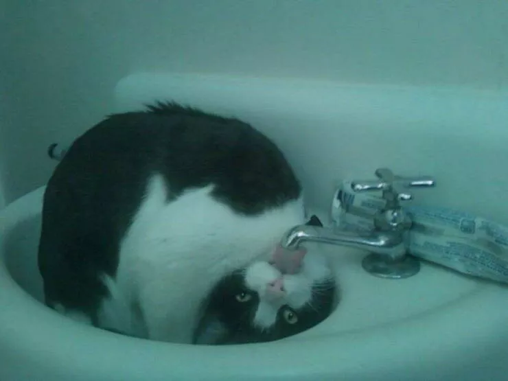 Picdump 1022 - #14 