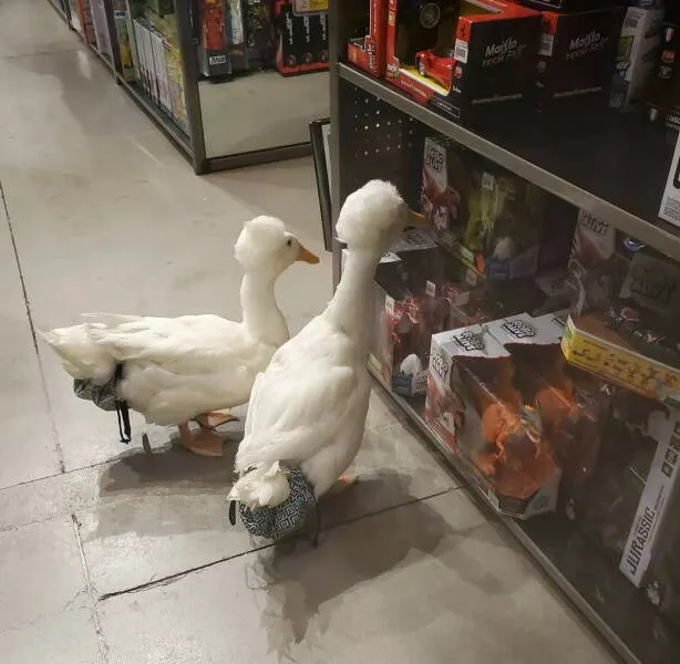 Picdump 1022 - #49 