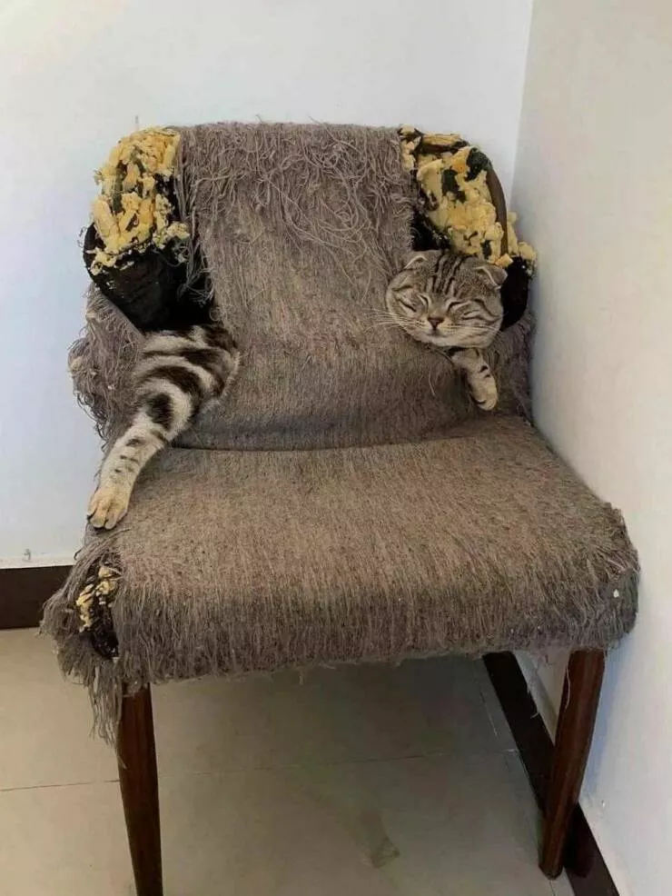 Picdump 1023 - #24 