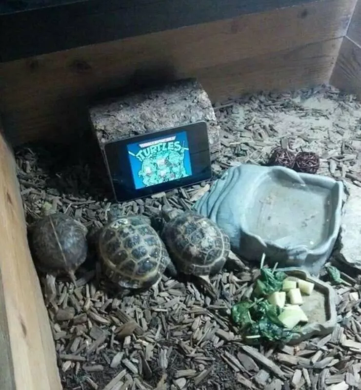 Picdump 1023 - #41 