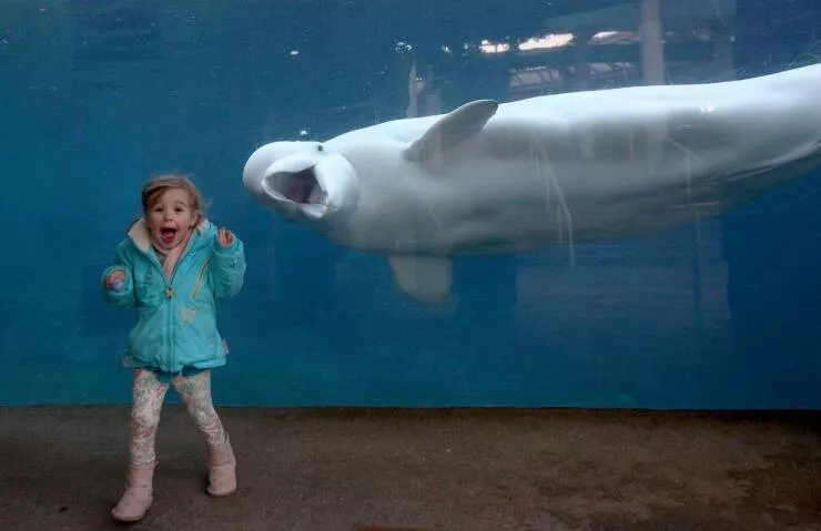 Picdump 1023 - #46 
