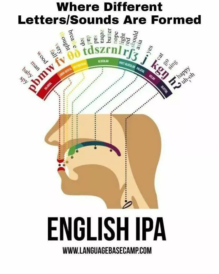 Unexpectedly cool maps and charts worth sharing - #8 