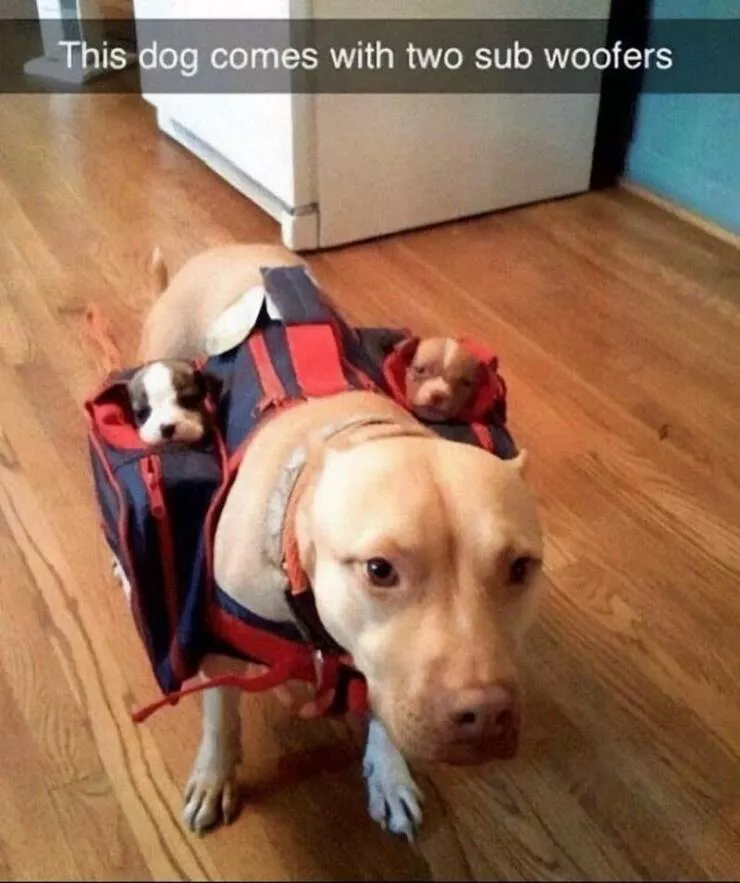 Picdump 1024 - #17 
