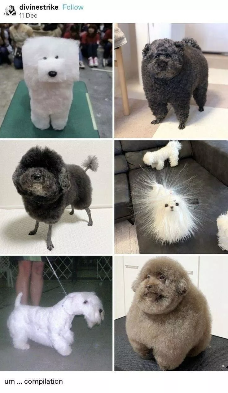 Picdump 1024 - #19 