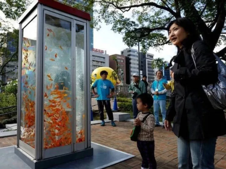 Strange and stunning urban sights from across the globe - #19 