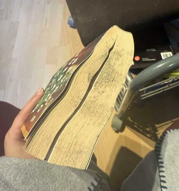 Quand preter tourne au cauchemar - #5 Livre prêté à ma mère retourné couvert d’annotations