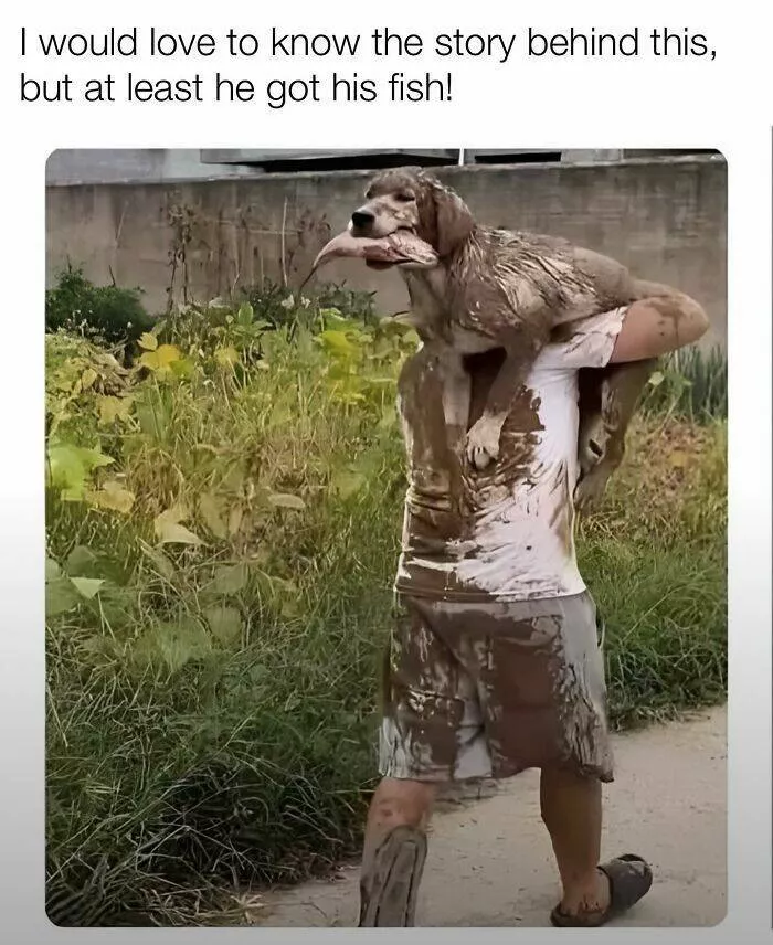 Todays bark of pure joy - #16 