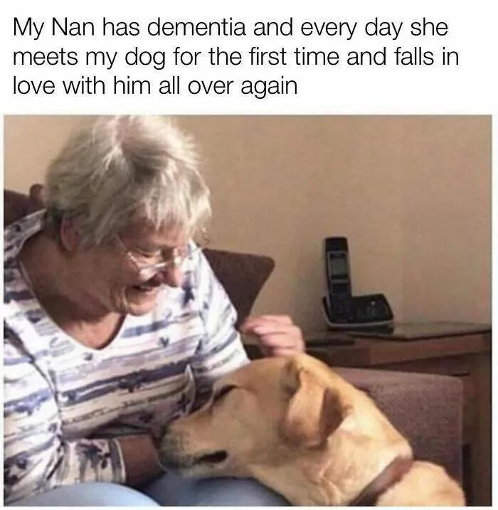 Todays bark of pure joy - #17 