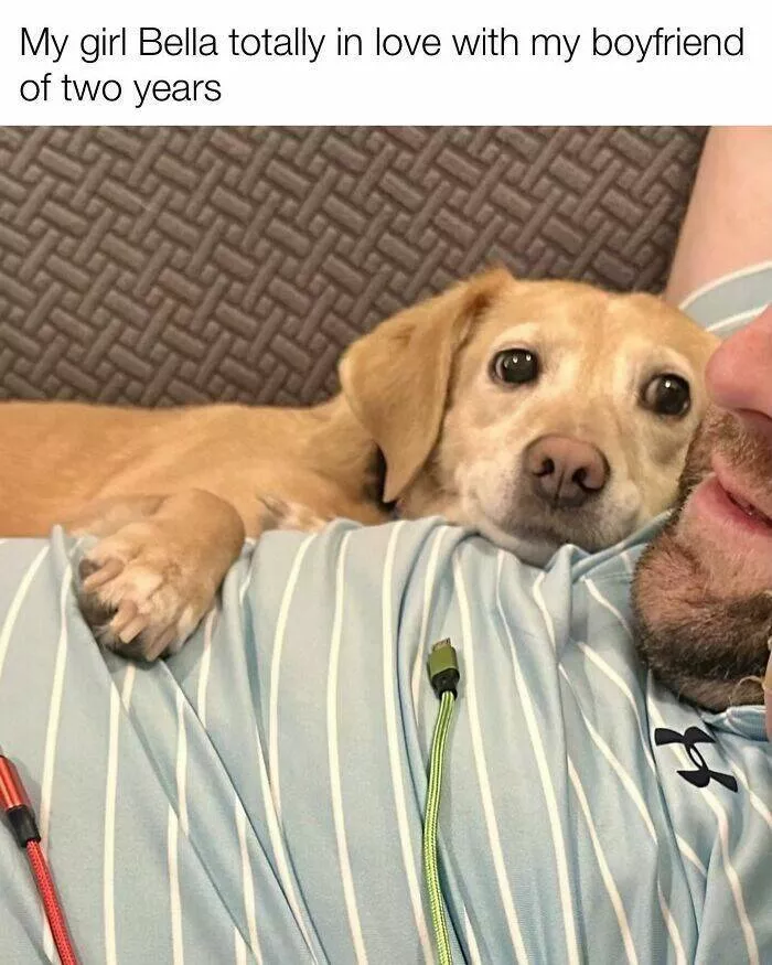 Todays bark of pure joy - #24 