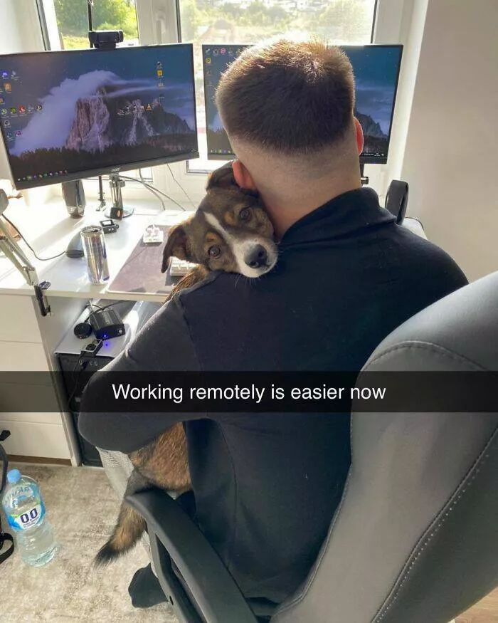 Todays bark of pure joy - #39 