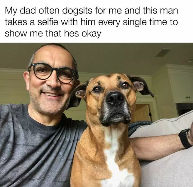 Votre dose canine de bonheur du jour - #46 