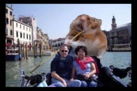 The 37 funniest photoshop fails - #21 The 37 funniest photoshop fails - #21