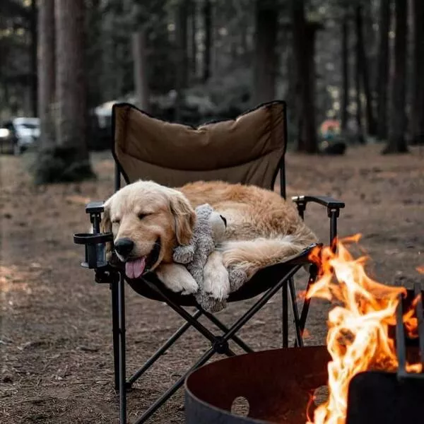 Picdump 1025 - #17 