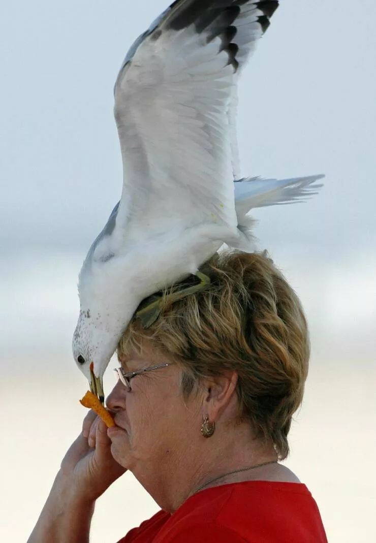 Picdump 1025 - #3 