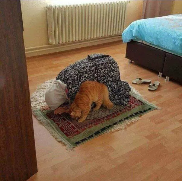 Picdump 1025 - #5 