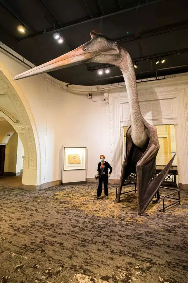 Astonishing wonders truly unbelievable and captivating shots - #24 Quetzalcoatlus Size Compared To Human—Largest Flying Animal Ever