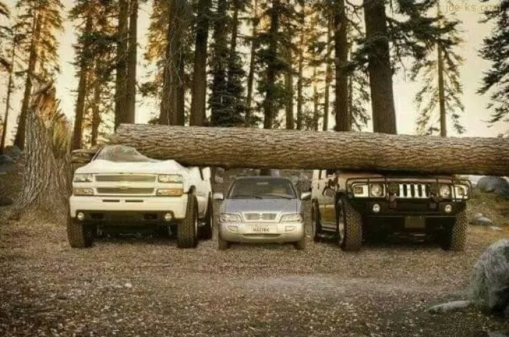 Picdump 1027 - #17 