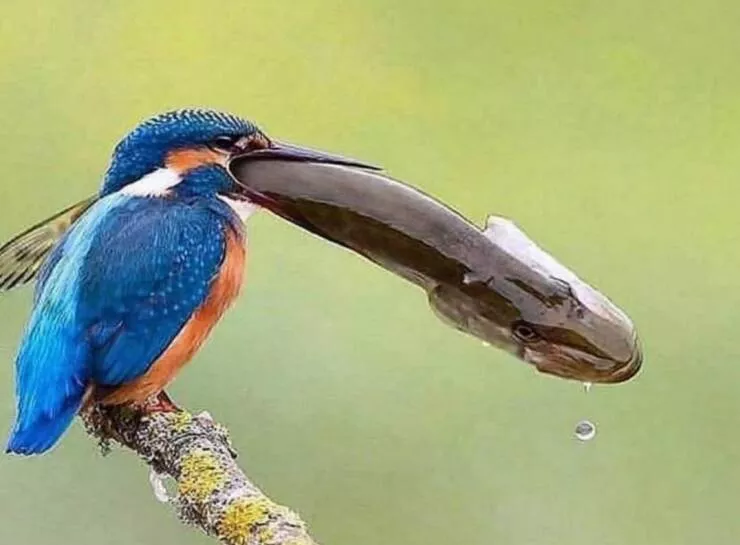 Picdump 1027 - #24 