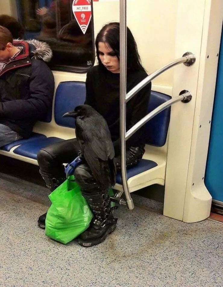 Picdump 1027 - #27 