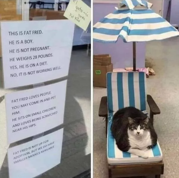 Picdump 1027 - #8 