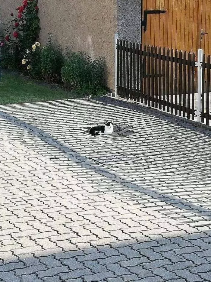 Picdump 1028 - #27 