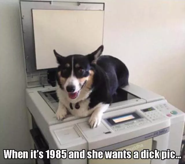 Picdump 125 - #39 