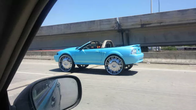 Picdump 125 - #48 