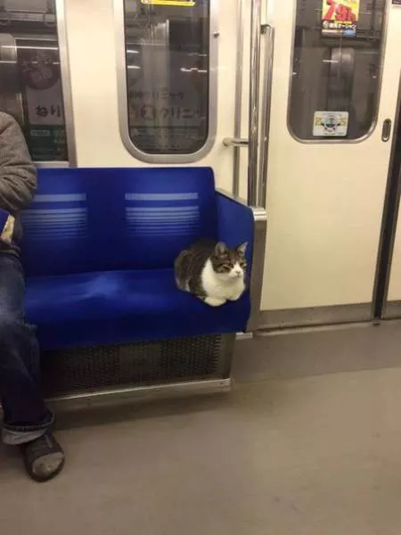 Picdump 125 - #54 