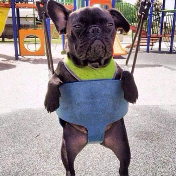 Picdump 125 - #74 