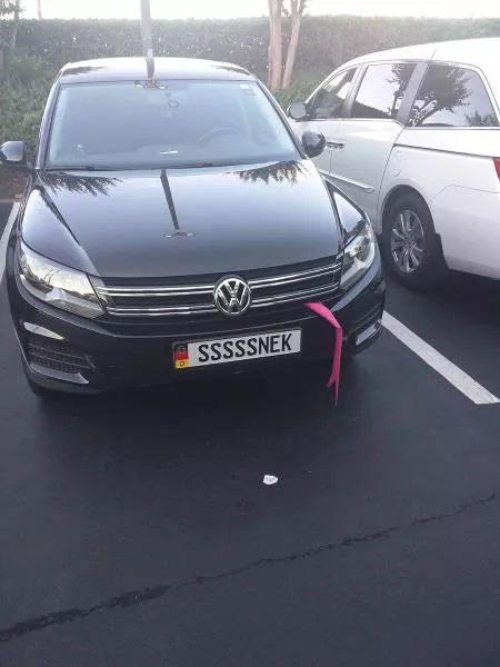 Picdump 125 - #80 