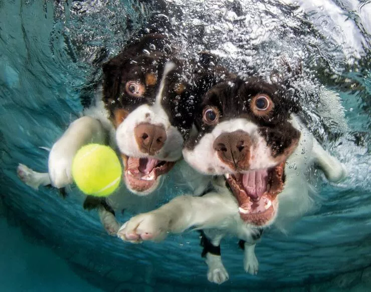 Picdump 1032