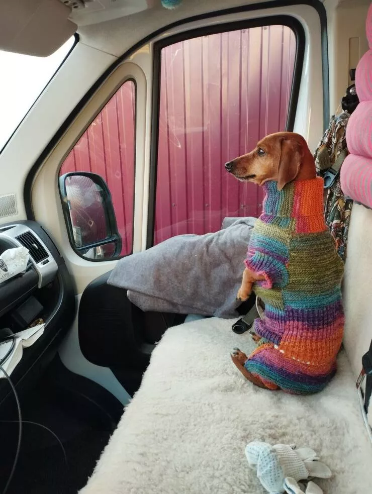 Picdump 1032 - #4 