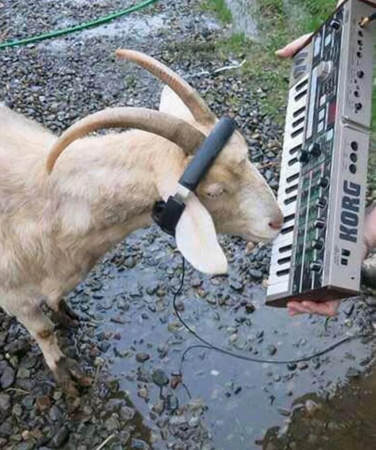 Picdump 1032 - #5 