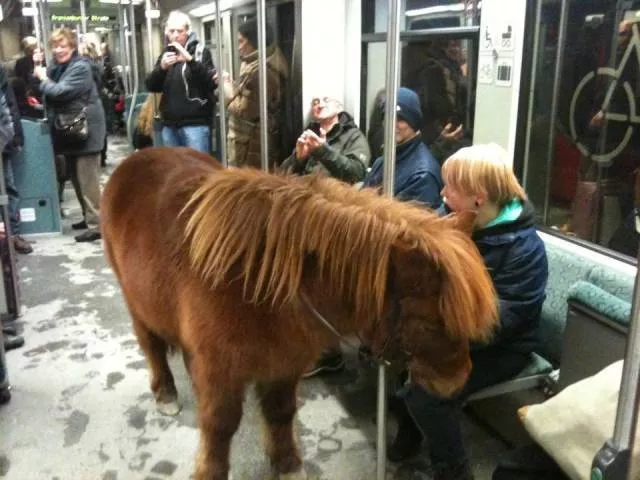 Picdump 17 - #22 