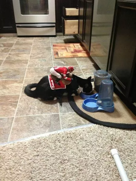 Picdump 17 - #26 