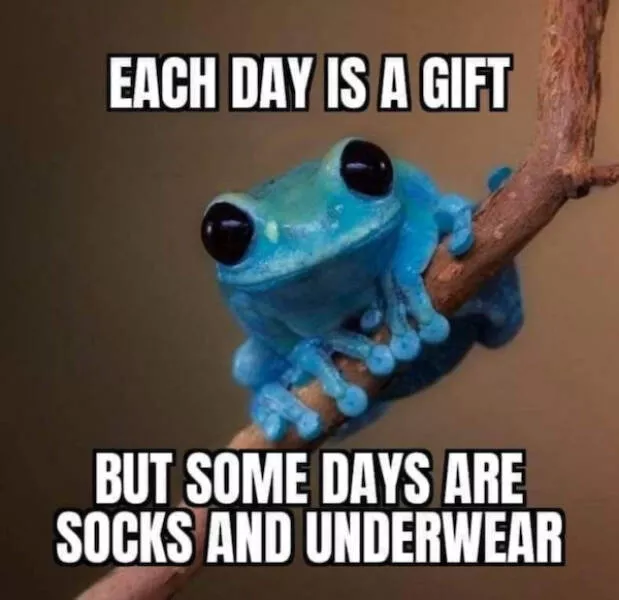 Classic grumpy dad energy captured perfectly - #29 Classic grumpy dad energy captured perfectly - #29