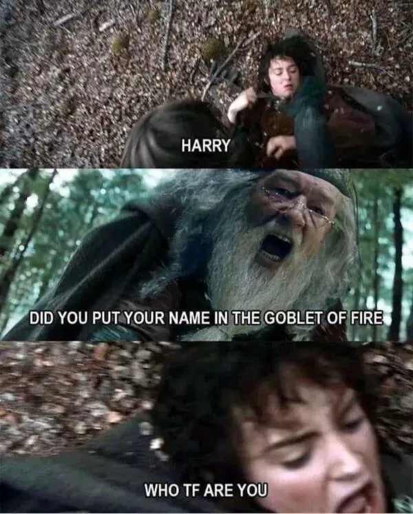Le meme ultime qui met tout le monde daccord - #12 