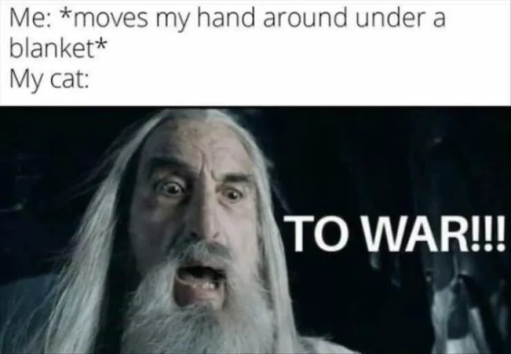 The one meme that rules them all - #31 
