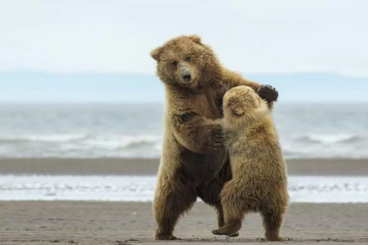 Picdump 1033 - #4 