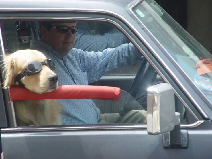 Picdump 1033 - #58 