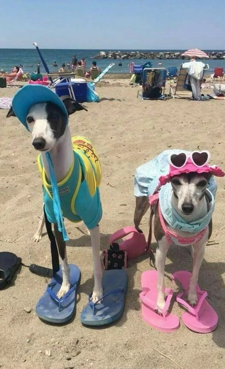 Picdump 1034 - #5 
