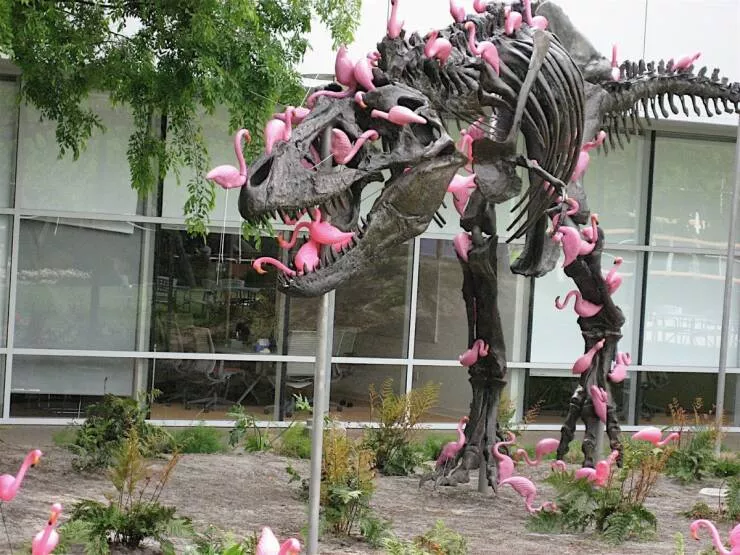 Picdump 1034 - #9 