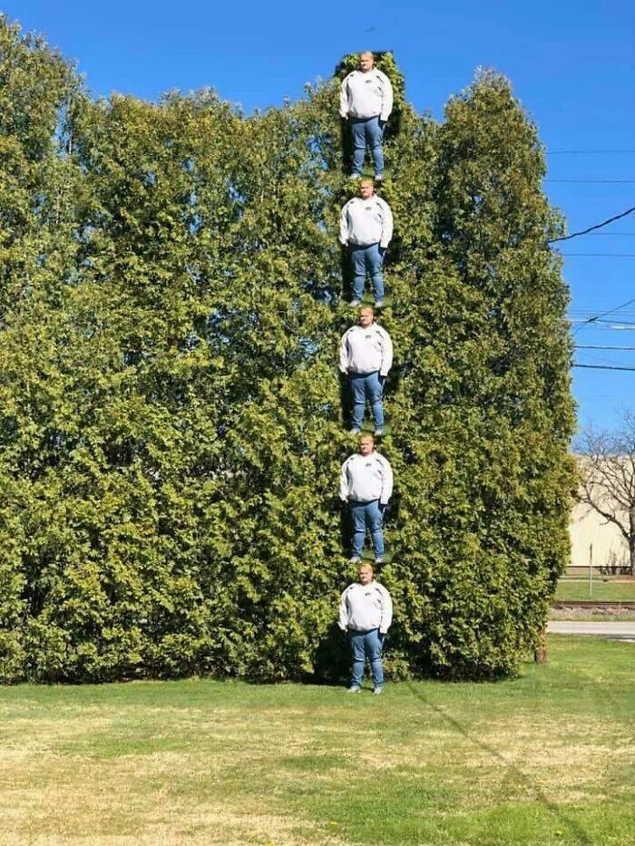 The internets still wild and wonderfully ridiculous - #23 How My Brother “Accurately” Measured The Backyard Trees