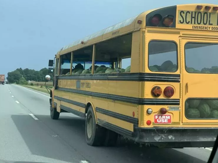The internets still wild and wonderfully ridiculous - #25 Funny Math Book Problem Spotted In Real Life
