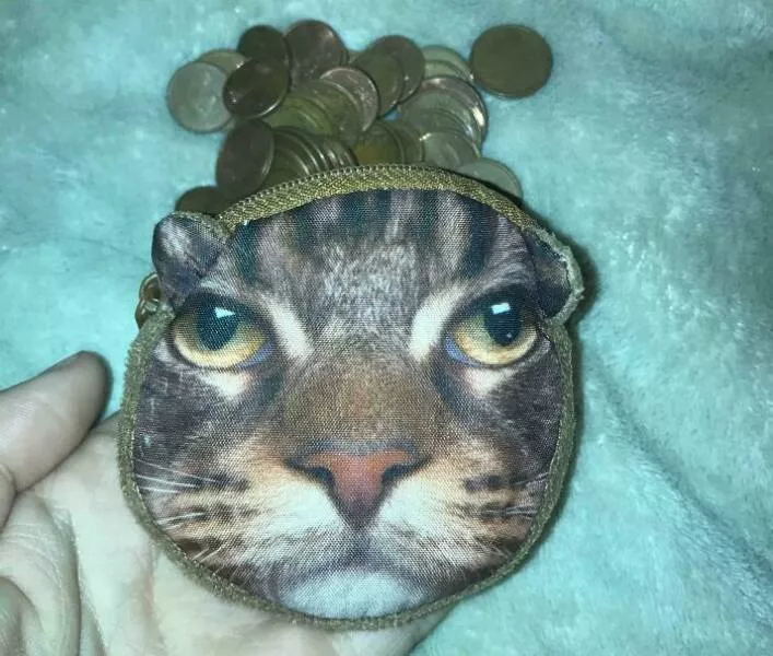 The internets still wild and wonderfully ridiculous - #31 Boyfriend’s Wallet Is Just Coins And A Cat Face—Hilarious