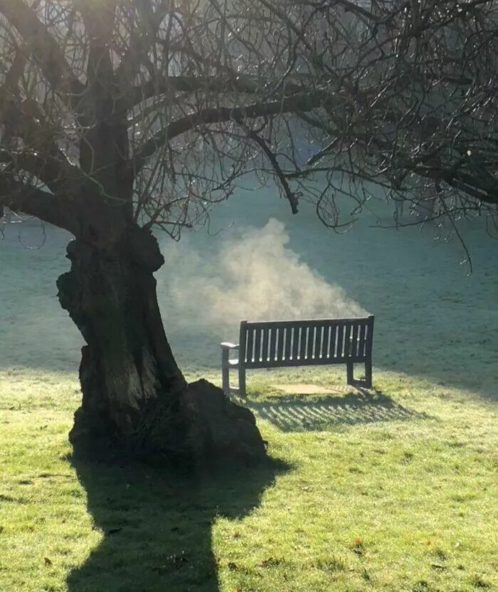 The internets still wild and wonderfully ridiculous - #7 Almost Caught A Vampire On Camera This Morning
